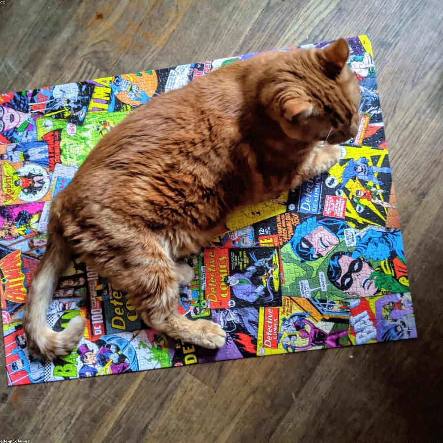1000 Parça Puzzle - Manzara